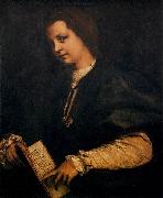 Andrea del Sarto Portrait of a Lady with a Book oil painting
